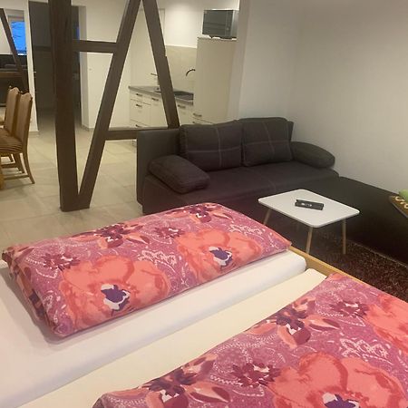 Boardinghouse Schnaitheim - Apartment 布拉河畔的海登海姆 外观 照片